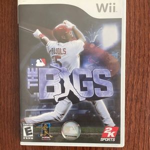Wii Game — The Bigs